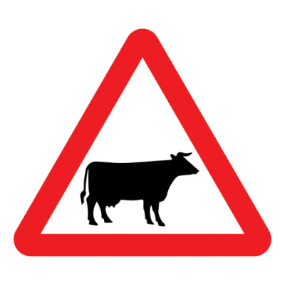  Domestic animals 