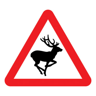  Wild animals 